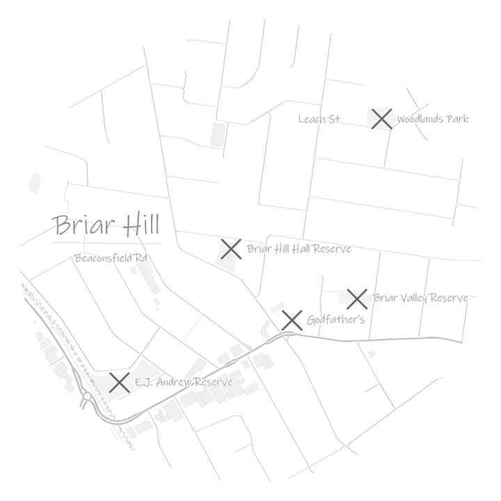 Briar Hill